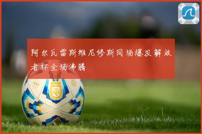 阿尔瓦雷斯维尼修斯同场爆发解放者杯全场沸腾