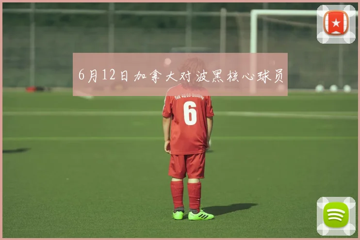 6月12日加拿大对波黑核心球员