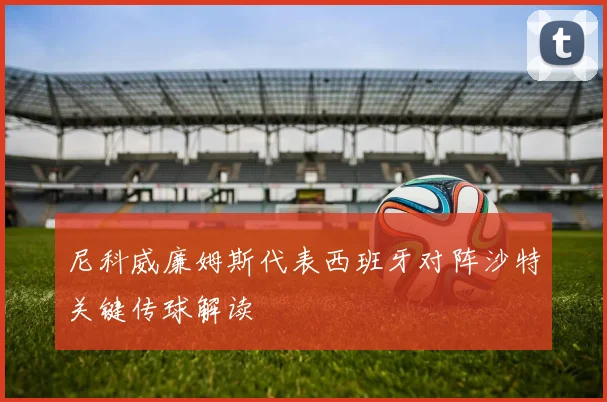 尼科威廉姆斯代表西班牙对阵沙特关键传球解读
